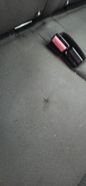 Пример СТО 21