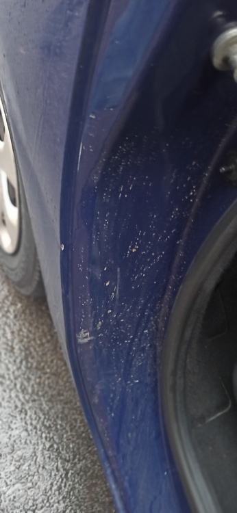 Пример СТО 23