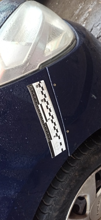 Пример СТО 116