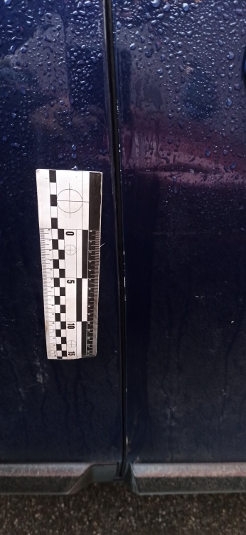 Пример СТО 117