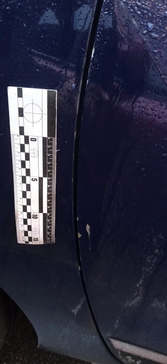 Пример СТО 120